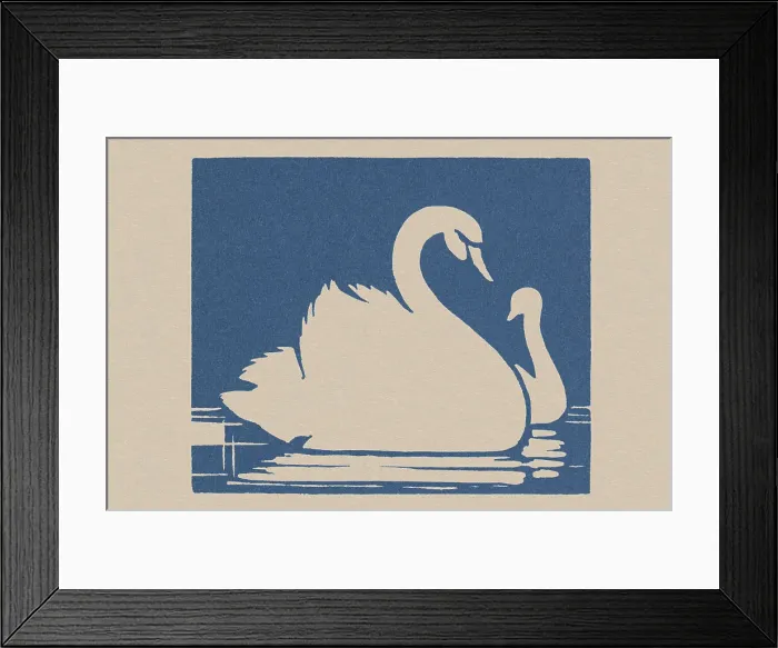 Framed Print : Swans. Lino cut of swans printed blue. Artist: Anon. Date: 1930s Framed Print : Swans. Lino cut of swans printed blue. Artist: Anon. Date: 1930s
