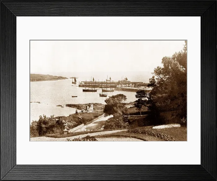 Framed Print : Ardglass Harbour early 1900s Framed Print : Ardglass Harbour early 1900s