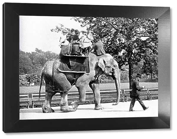 Elephant Ride at the Zoo Victorian period