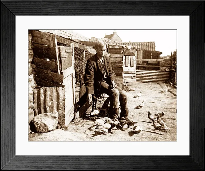 Framed Print : Pigeon Fancier early 1900s Framed Print : Pigeon Fancier early 1900s