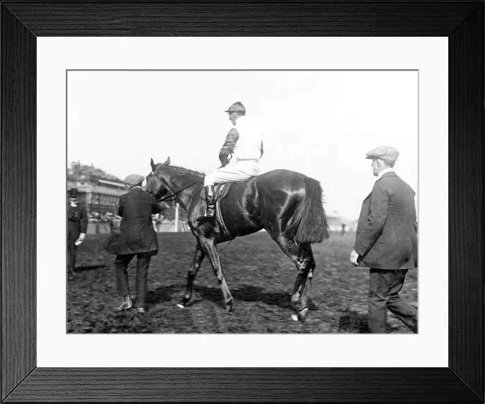 Framed Print : Bayardo, Doncaster Racecourse Framed Print : Bayardo, Doncaster Racecourse