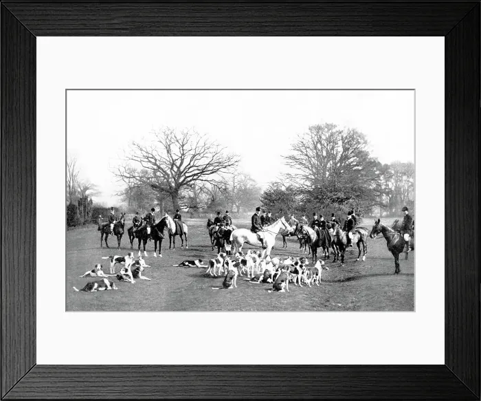Framed Print : Fox hunting early 1900s