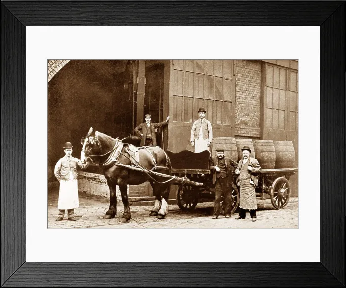 Framed Print : Brewery Dray early 1900s Framed Print : Brewery Dray early 1900s