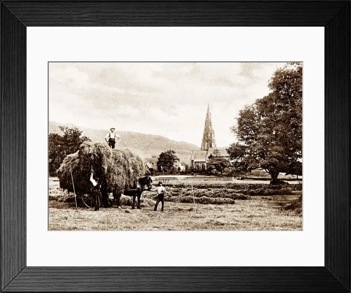 Framed Print : Ambleside Haymaking early 1900s