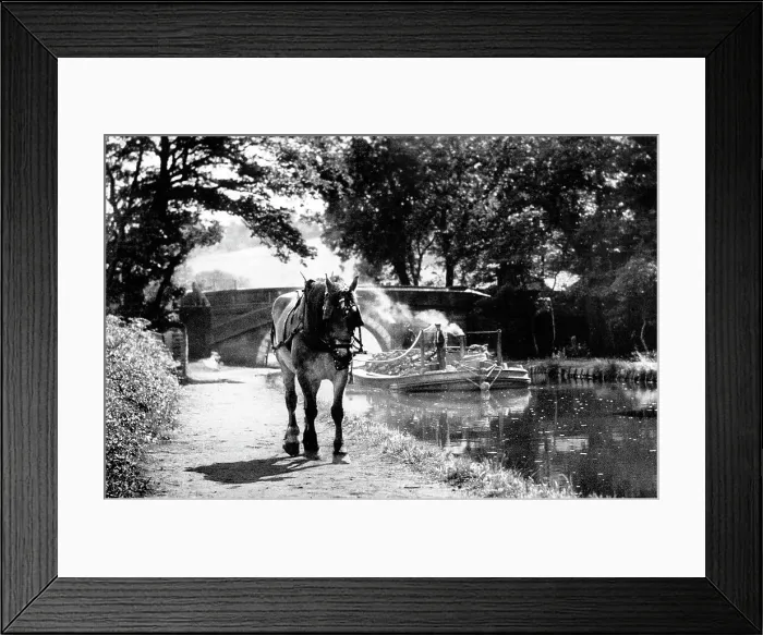 Framed Print : Leeds and Liverpool Canal horse drawn barge early 1900s Framed Print : Leeds and Liverpool Canal horse drawn barge early 1900s