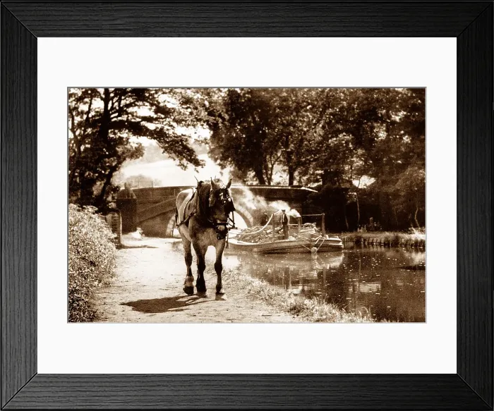 Framed Print : Horse towing barge on the Leeds and Liverpool Canal Framed Print : Horse towing barge on the Leeds and Liverpool Canal