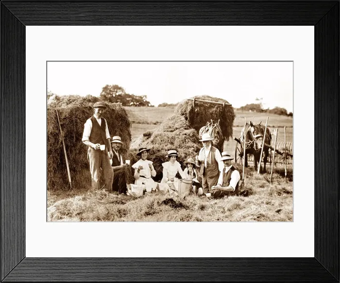 Framed Print : Haymaking Date: circa 1900s Framed Print : Haymaking Date: circa 1900s