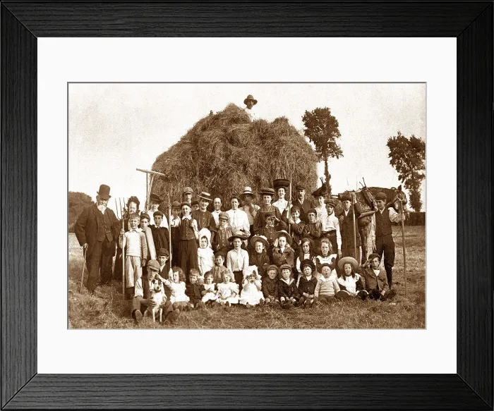 Framed Print : Haymaking Date: circa 1900s Framed Print : Haymaking Date: circa 1900s