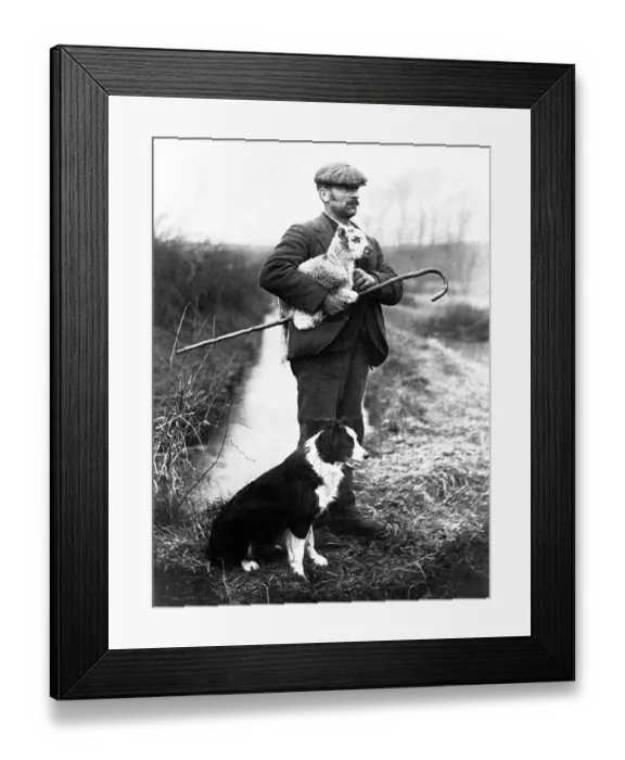 Framed Print : Shepherd with lamb and dog Framed Print : Shepherd with lamb and dog
