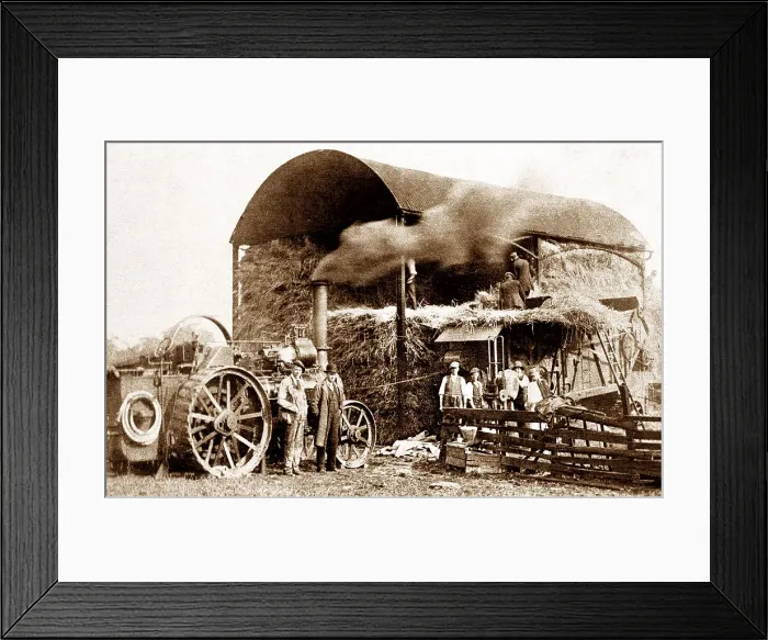 Framed Print : Traction Engine and Threshing Machine Victorian period Framed Print : Traction Engine and Threshing Machine Victorian period
