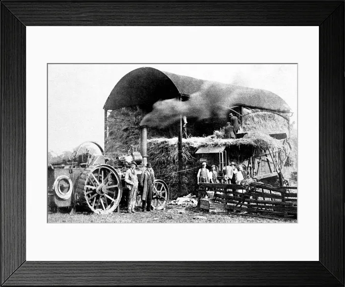 Framed Print : Threshing with a traction engine Framed Print : Threshing with a traction engine