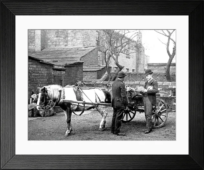 Framed Print : Vegetable seller