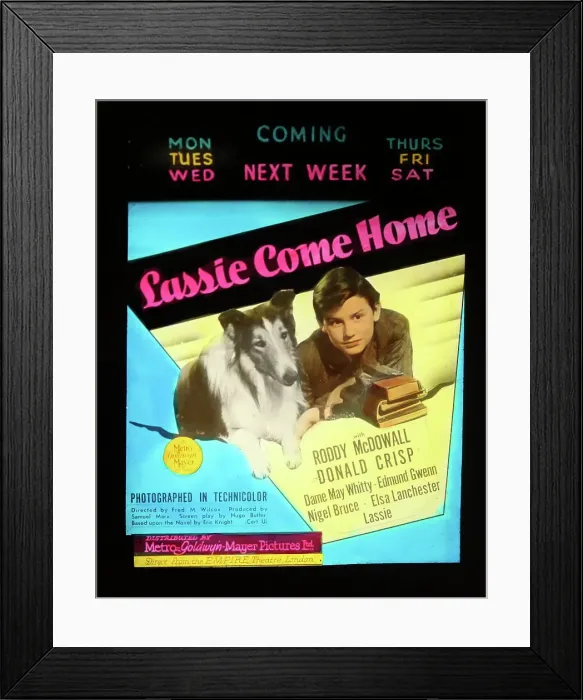 Framed Print : Lassie Come Home Roddy McDowall - cinema ad Framed Print : Lassie Come Home Roddy McDowall - cinema ad