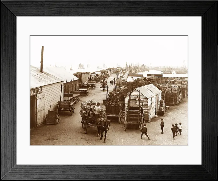 Framed Print : Newlyn Quay in the Mackerel Season Framed Print : Newlyn Quay in the Mackerel Season
