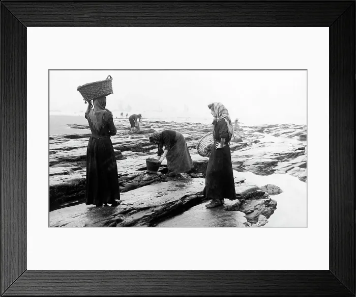 Framed Print : Collecting mussels Framed Print : Collecting mussels