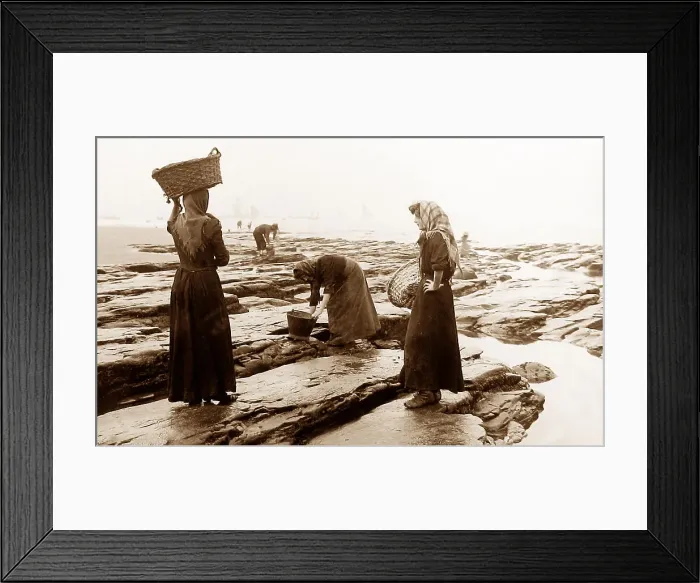 Framed Print : Mussel Gatherers Victorian period Framed Print : Mussel Gatherers Victorian period