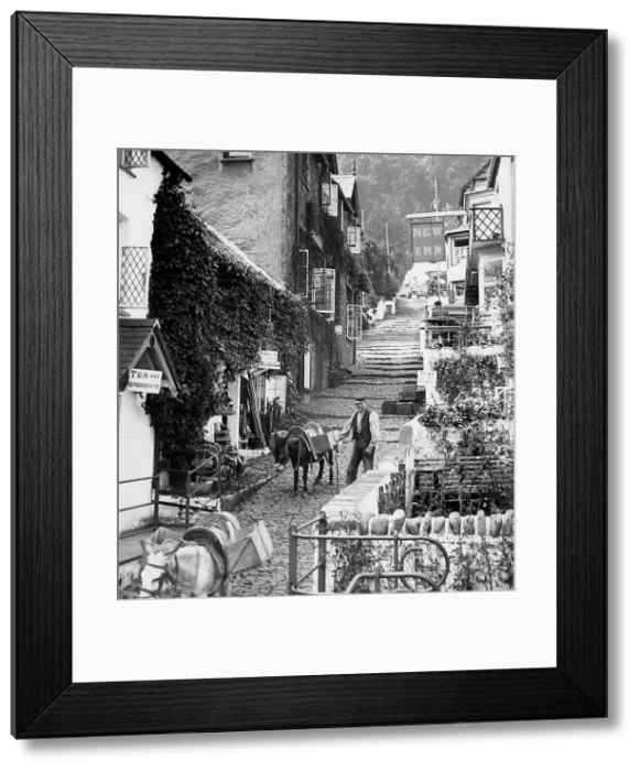 Framed Print : Clovelly donkey - Victorian period Framed Print : Clovelly donkey - Victorian period