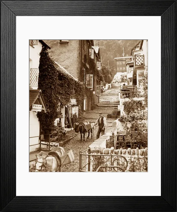 Framed Print : Clovelly donkey - Victorian period Framed Print : Clovelly donkey - Victorian period