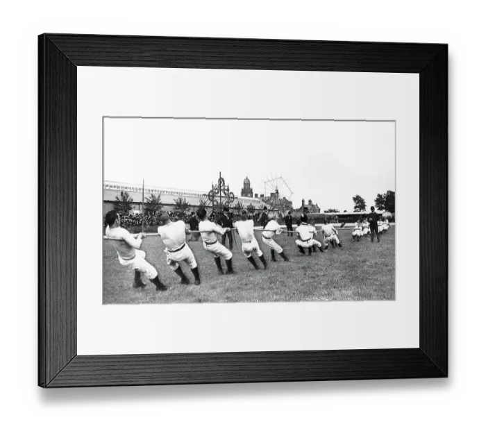 Framed Print : Tug of War Framed Print : Tug of War