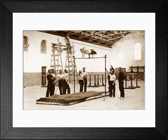 Framed Print : British Army gymnasium at Aldershot Framed Print : British Army gymnasium at Aldershot