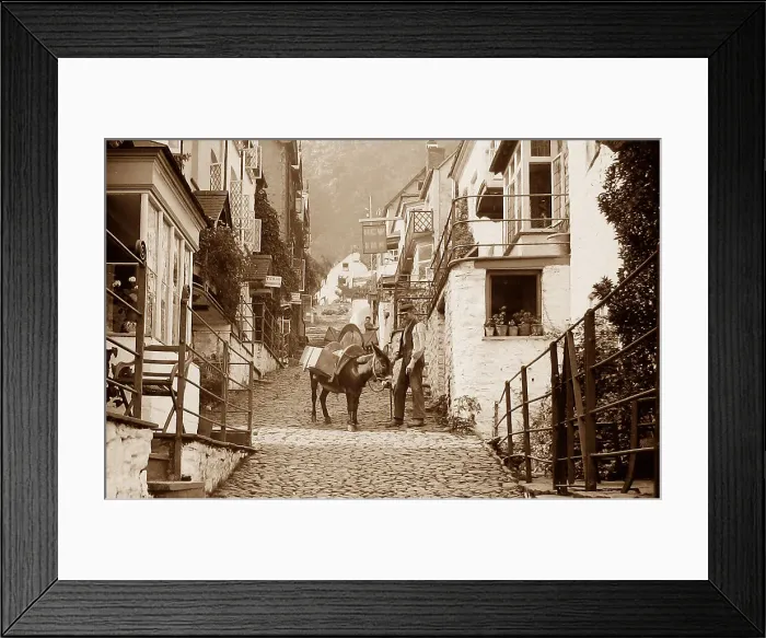 Framed Print : Clovelly donkey - Victorian period Framed Print : Clovelly donkey - Victorian period
