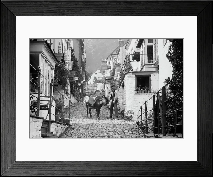Framed Print : Clovelly donkey - Victorian period Framed Print : Clovelly donkey - Victorian period