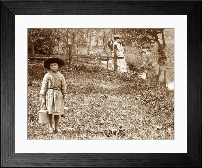 Framed Print : Going for the milk Framed Print : Going for the milk