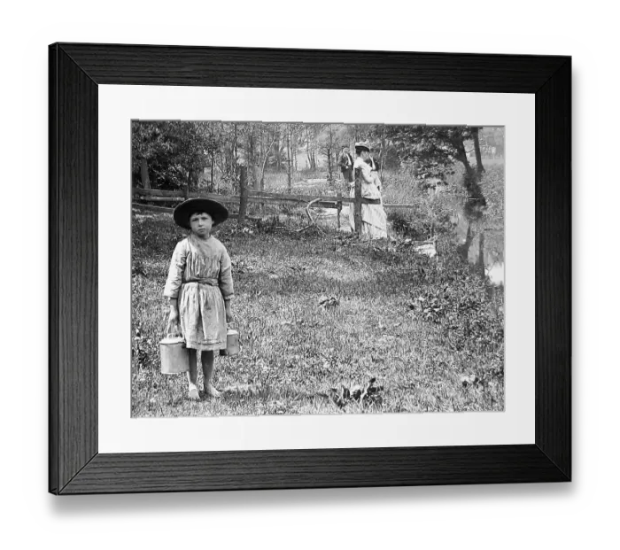 Framed Print : Going for the milk Framed Print : Going for the milk