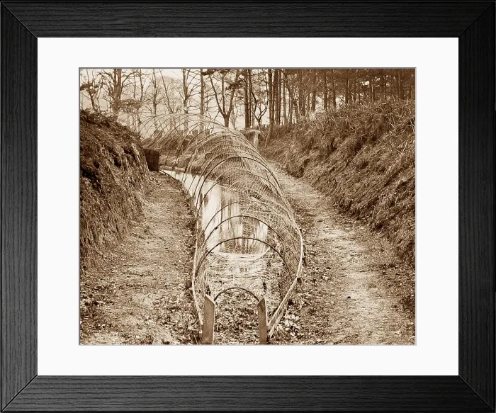 Framed Print : Norfolk Broads Bow Net Victorian period Framed Print : Norfolk Broads Bow Net Victorian period