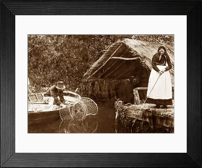 Framed Print : A reed boathouse, Norfolk Framed Print : A reed boathouse, Norfolk