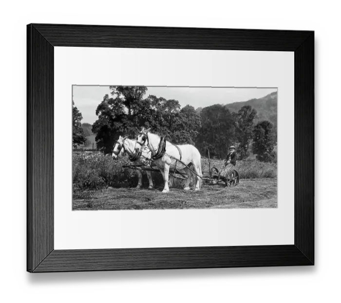 Framed Print : Farming - Mowing machine Victorian period Framed Print : Farming - Mowing machine Victorian period