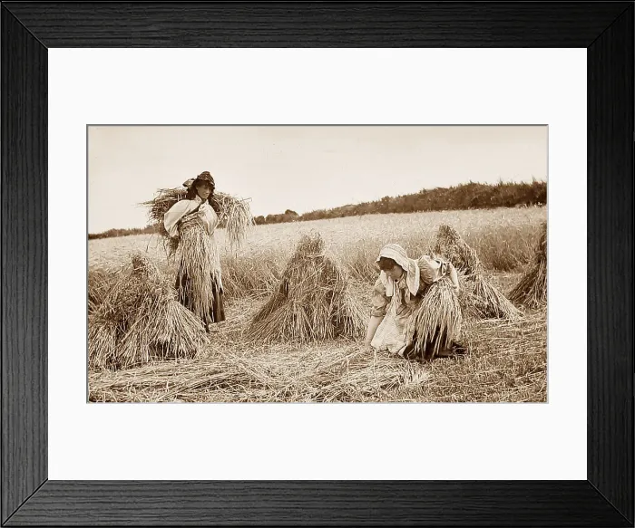 Framed Print : Rural idyll Framed Print : Rural idyll