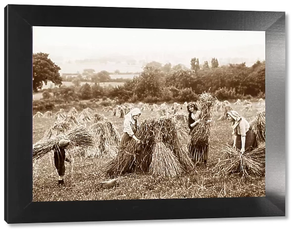Farming - making haystacks Victorian period