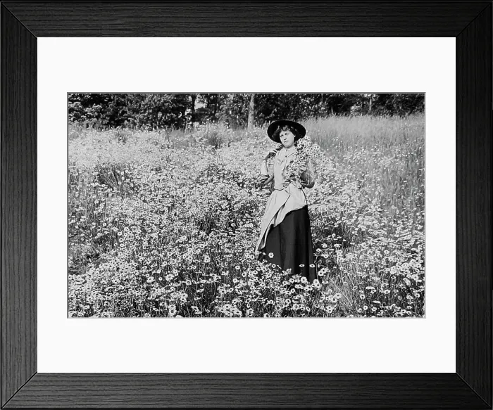 Framed Print : Rural idyll Framed Print : Rural idyll