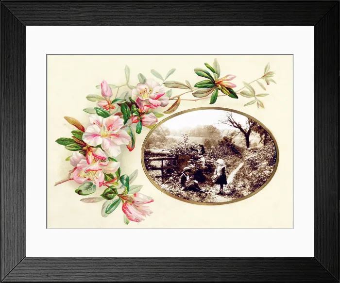 Framed Print : Victorian floral greetings card design, A6 size, No. 17 Framed Print : Victorian floral greetings card design, A6 size, No. 17