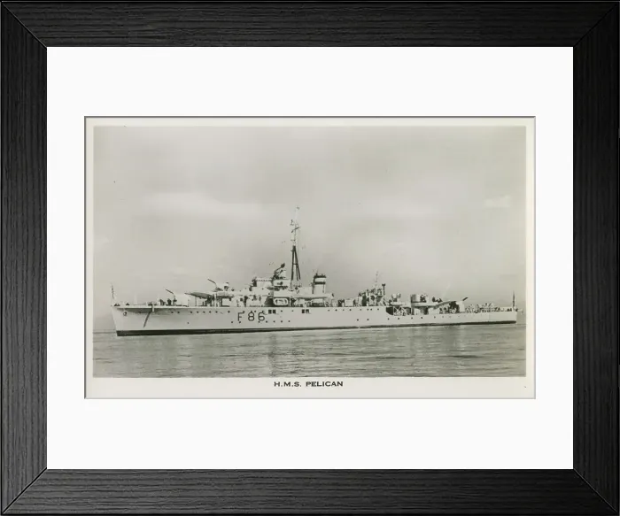 Framed Print : H. M. S. Pelican (F86) - Egret-class sloop Framed Print : H. M. S. Pelican (F86) - Egret-class sloop