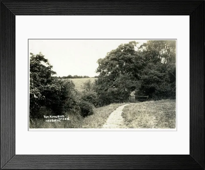 Framed Print : Tom Knocker's Wood - Harborne, south-west Birmingham Framed Print : Tom Knocker's Wood - Harborne, south-west Birmingham