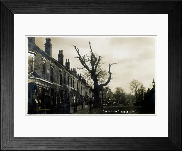 Framed Print : Ye Old Oak at Selly Oak, Bournville, Birmingham Framed Print : Ye Old Oak at Selly Oak, Bournville, Birmingham