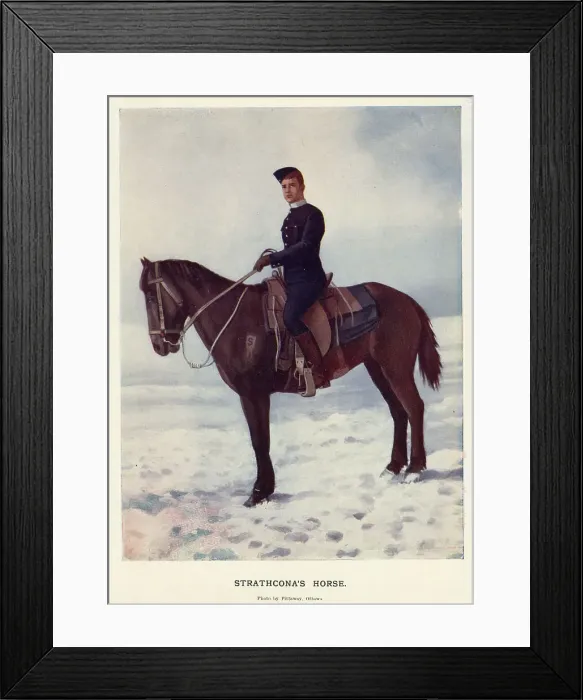 Framed Print : Strathcona's Horse Regiment, Royal Canadians Framed Print : Strathcona's Horse Regiment, Royal Canadians