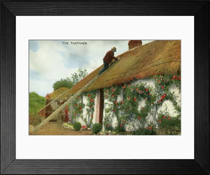 Framed Print : The Thatcher, Ireland - Irish Country Life Series postcard Framed Print : The Thatcher, Ireland - Irish Country Life Series postcard