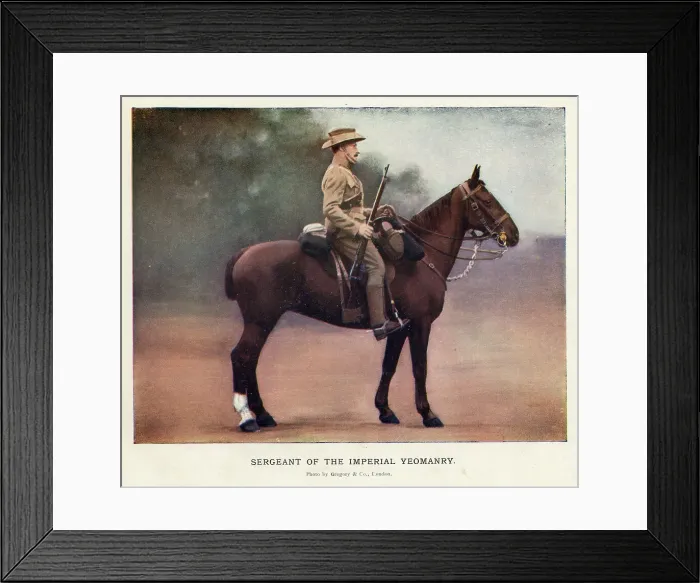 Framed Print : Sergeant Of The Imperial Yeomanry Boer War Military Framed Print : Sergeant Of The Imperial Yeomanry Boer War Military