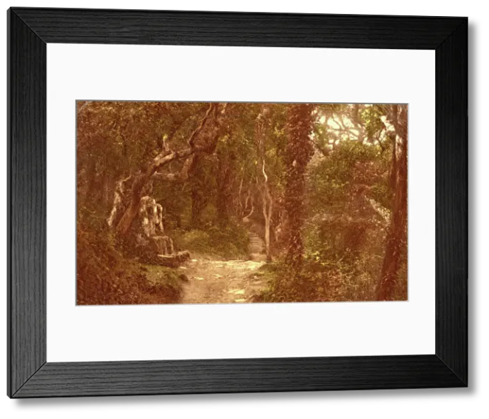 Framed Print : Stone Seat, The Landslip, Shanklin, Isle of Wight Framed Print : Stone Seat, The Landslip, Shanklin, Isle of Wight