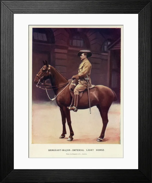 Framed Print : Sergeant-Major, Imperial Light Horse Framed Print : Sergeant-Major, Imperial Light Horse