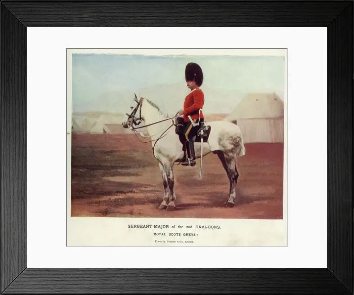 Framed Print : Sergeant-Major of the 2nd Dragoons, Royal Scots Greys