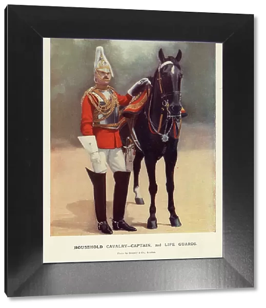 Household Cavalry, Captain, 2nd Life Guards