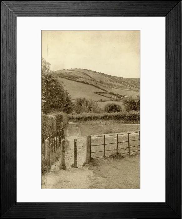 Framed Print : Shanklin Downs from Luccombe Common, Isle of Wight Framed Print : Shanklin Downs from Luccombe Common, Isle of Wight