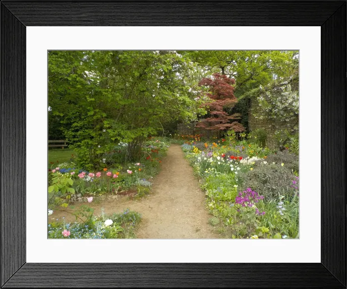 Framed Print : Munstead Wood and Gardens - home of Gertrude Jekyll Framed Print : Munstead Wood and Gardens - home of Gertrude Jekyll