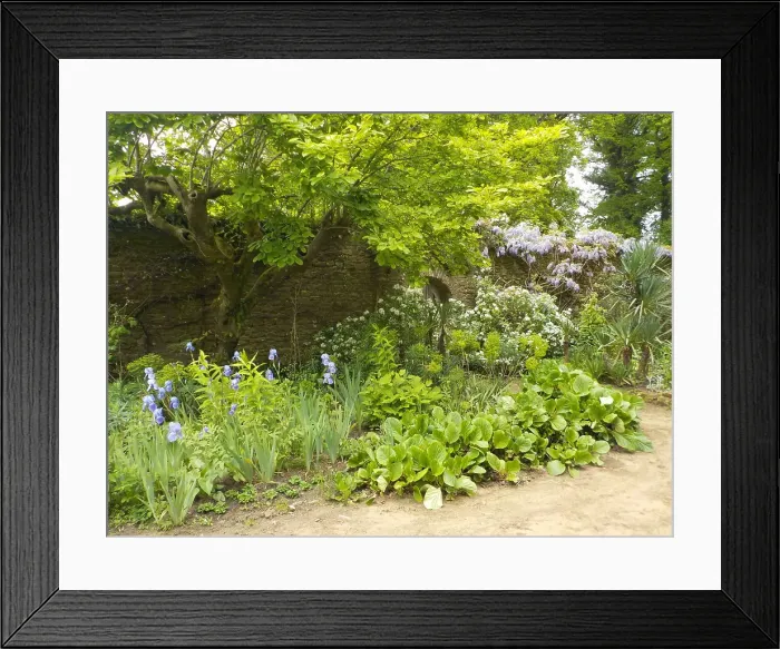 Framed Print : Munstead Wood and Gardens - home of Gertrude Jekyll Framed Print : Munstead Wood and Gardens - home of Gertrude Jekyll