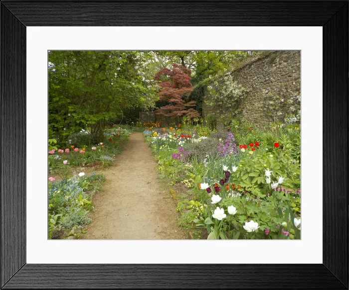 Framed Print : Munstead Wood and Gardens - home of Gertrude Jekyll Framed Print : Munstead Wood and Gardens - home of Gertrude Jekyll
