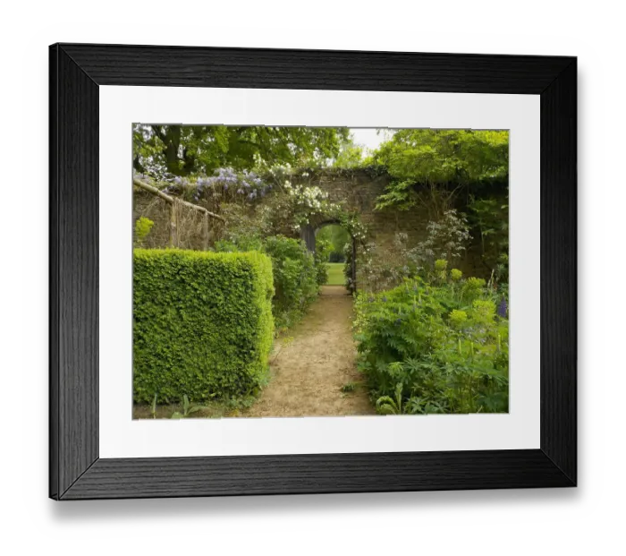 Framed Print : Munstead Wood and Gardens - home of Gertrude Jekyll Framed Print : Munstead Wood and Gardens - home of Gertrude Jekyll